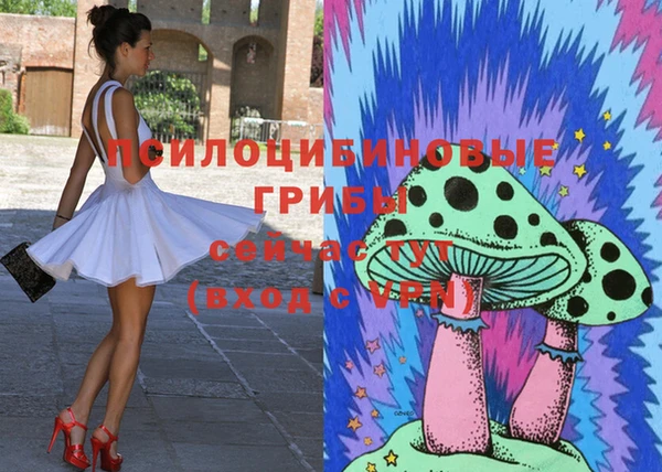 ГАЛЛЮЦИНОГЕННЫЕ ГРИБЫ Ахтубинск